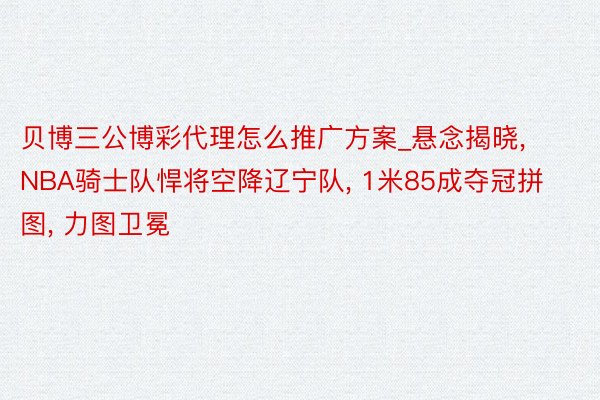 贝博三公博彩代理怎么推广方案_悬念揭晓, NBA骑士队悍将空降辽宁队, 1米85成夺冠拼图, 力图卫冕
