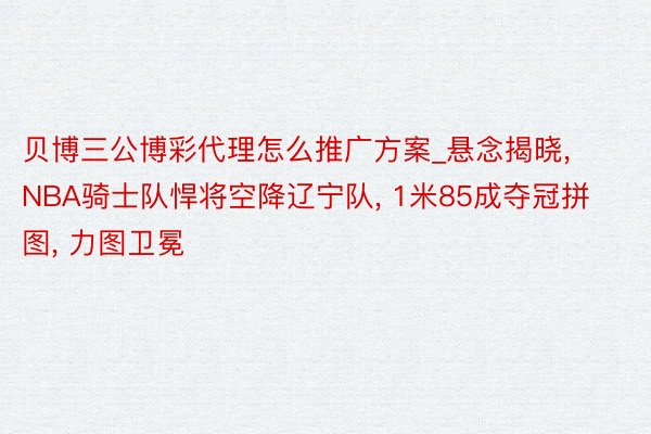 贝博三公博彩代理怎么推广方案_悬念揭晓， NBA骑士队悍将空降辽宁队， 1米85成夺冠拼图， 力图卫冕